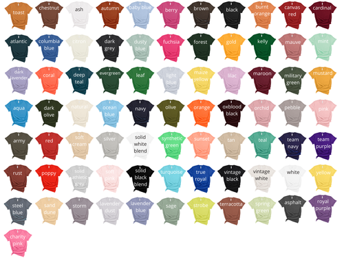 Adult Unisex T-Shirt - Bella Canvas 3001