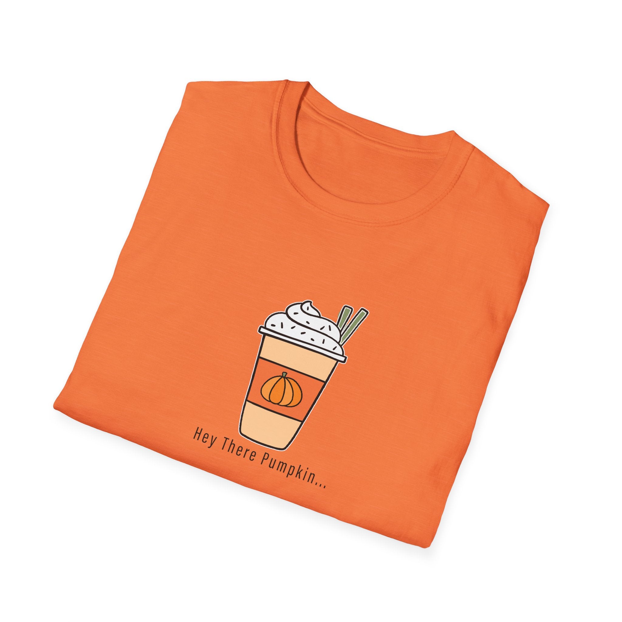 Hey There Pumpkin Design (Adult & Youth Unisex Sizes)