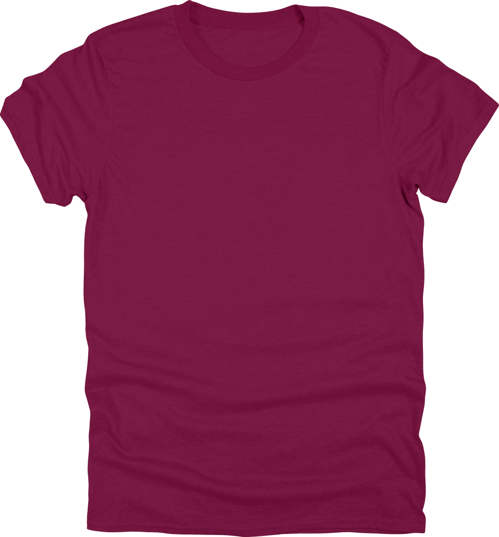 Adult Unisex Gildan 500 T-Shirt