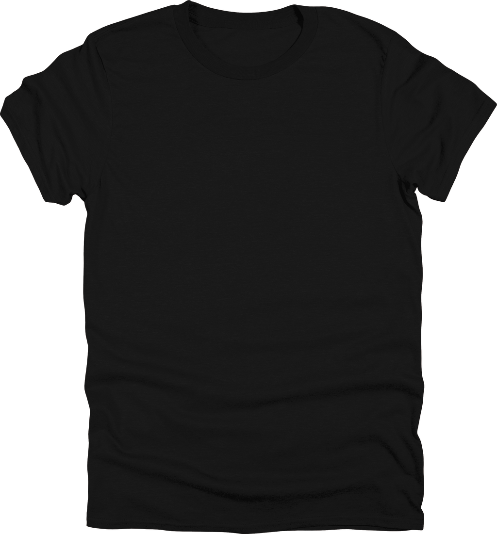 Adult Unisex Gildan 500 T-Shirt