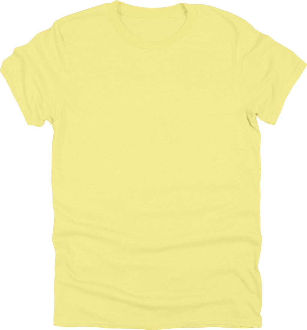 Adult Unisex Gildan 500 T-Shirt