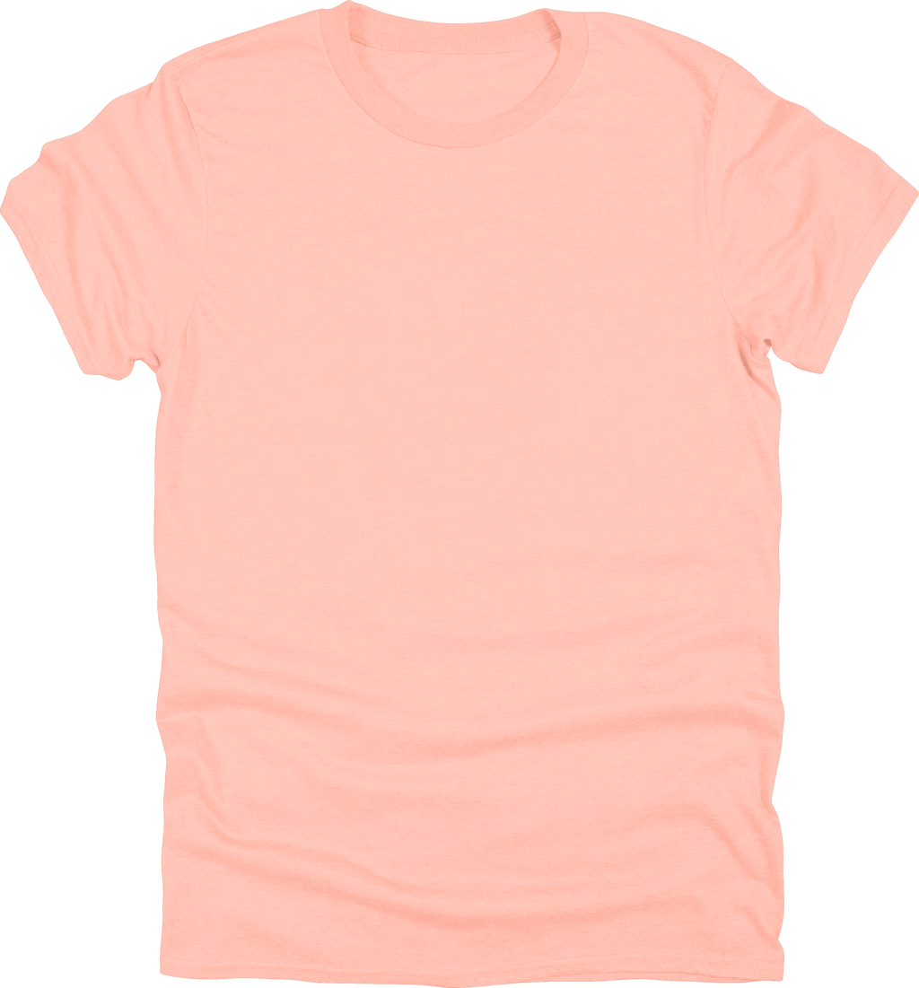 Adult Unisex Gildan 500 T-Shirt