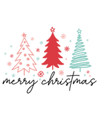 Merry Christmas Vibes Design (Adult & Youth Unisex Sizes)