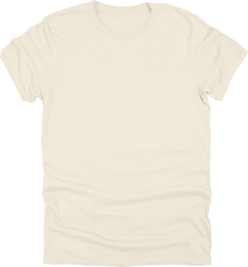 Adult Unisex Gildan 500 T-Shirt